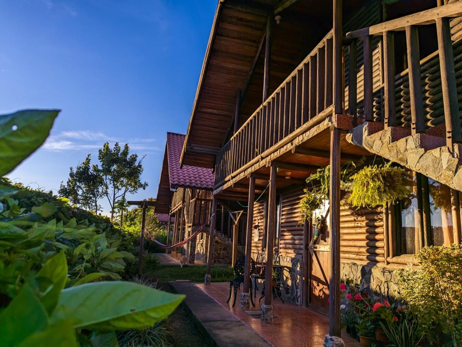 Cabañas San Rafael Palmares  Exterior foto